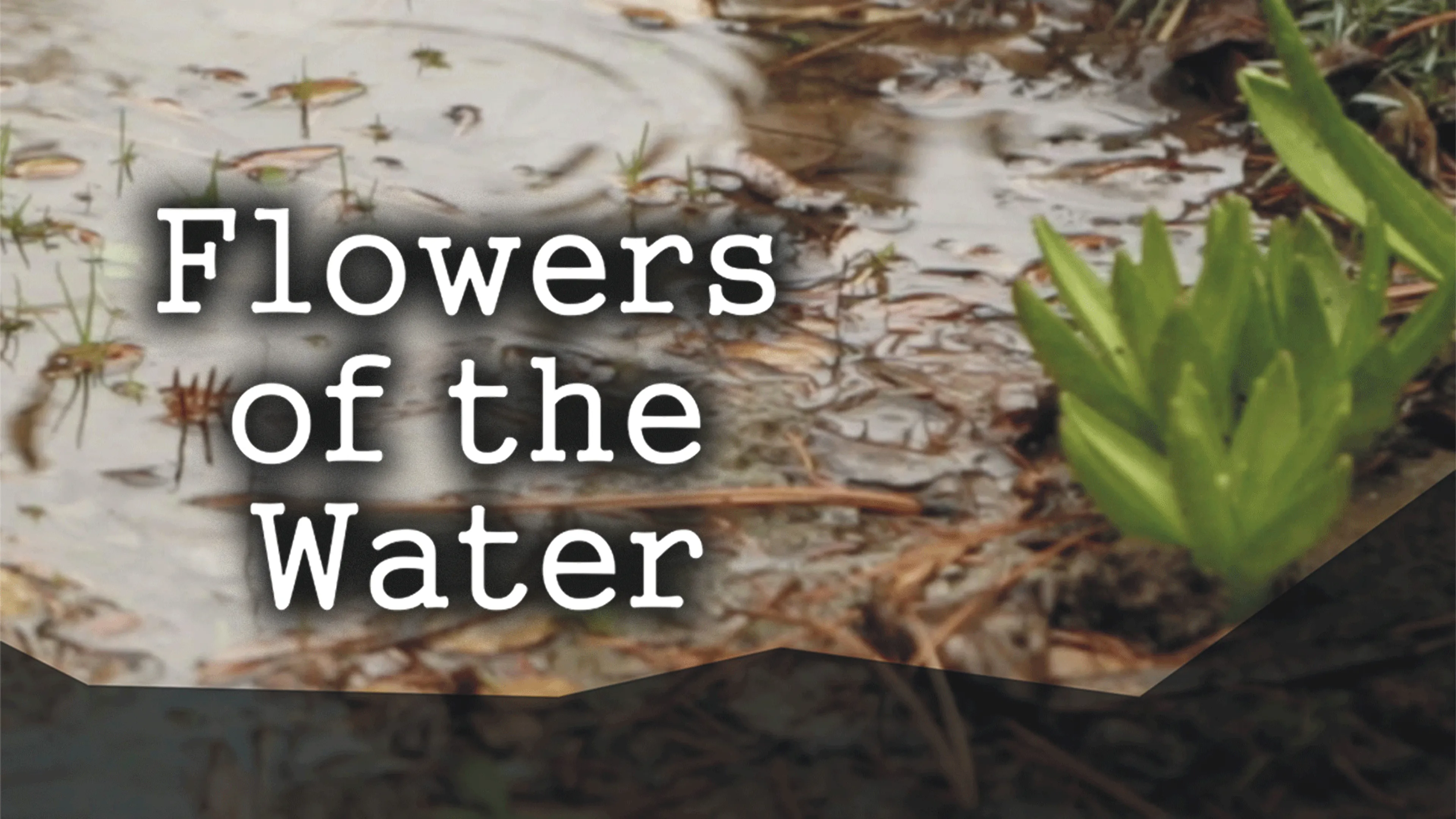 Flowers of the Water poster
